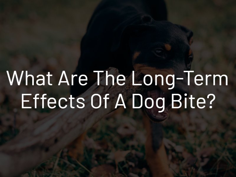 long-term effects of a dog bite