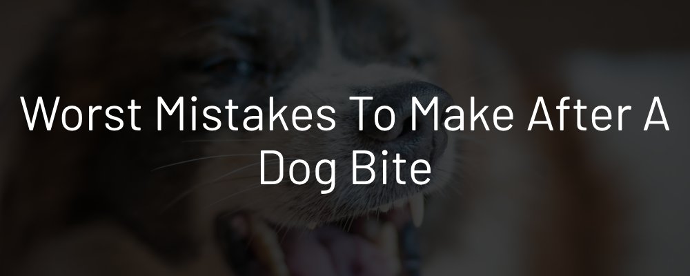 Worst Mistakes to Make After a Dog Bite
