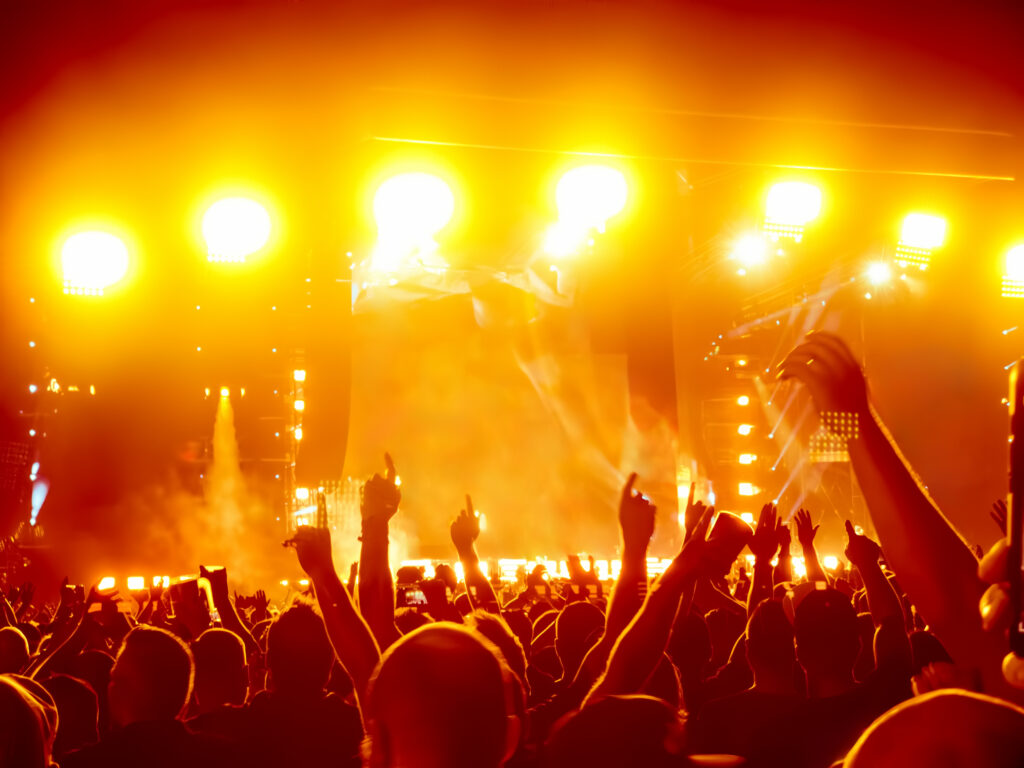 cheering crowd at a rock concert